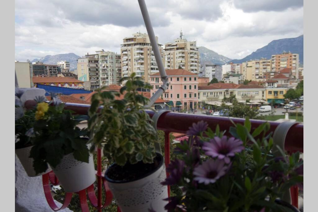 "Tata'S New Home!" Tirana Buitenkant foto